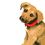 Click for more details of Adorable Puppy (cross stitch) by Lanarte
