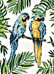 Click for more details of Blue and Yellow Macaw (cross stitch) by Oven Company