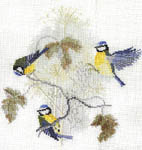 Click for more details of Blue Tits and Seed Heads (cross stitch) by Rose Swalwell