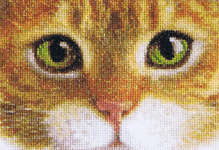 Click for more details of Cats - Tiger & Kitty  (cross stitch) by Thea Gouverneur