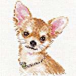 Click for more details of Chihuahua (cross stitch) by Alisa