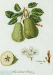 Click for more details of Colmar Pears (cross stitch) by Thea Gouverneur