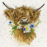 Click for more details of Daisy Coo (cross stitch) by Bothy Threads