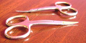 Click for more details of Double Curved Scissors (scissors) by Siesta Frames