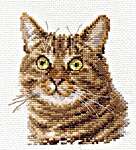 Click for more details of European Cat (cross stitch) by Alisa