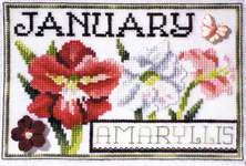 Click for more details of Flowers of the Month - January Amaryllis (cross stitch) by Stoney Creek