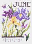 Click for more details of Flowers of the Month - June Iris (cross stitch) by Stoney Creek