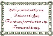 Click for more details of Gather ye Rosebuds .... (cross stitch) by Anne Peden