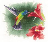 Click for more details of Hummingbird in Flight (cross stitch) by John Clayton