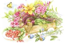 Click for more details of In the Garden (cross stitch) by Marjolein Bastin