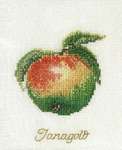 Click for more details of Jonagold Apple (cross stitch) by Thea Gouverneur
