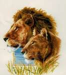 Click for more details of Lion Duo (cross stitch) by Vervaco