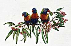 Click for more details of Lorikeets (cross stitch) by Thea Gouverneur