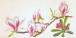 Click for more details of Magnolia and Primula (cross stitch) by Thea Gouverneur