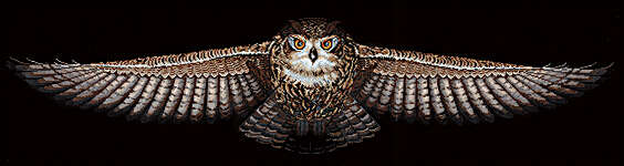 Click for more details of Owl (cross stitch) by Andriana