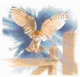 Click for more details of Owl in Flight (cross stitch) by John Clayton