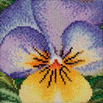 Click for more details of Pansy - Blue and Yellow Viola (cross stitch) by Thea Gouverneur