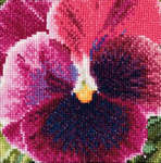 Click for more details of Pansy - Mauve (cross stitch) by Thea Gouverneur