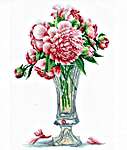 Click for more details of Peonies (cross stitch) by Andriana