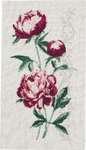 Click for more details of Peonies (cross stitch) by Permin of Copenhagen