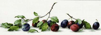 Click for more details of Plums (cross stitch) by Luca - S