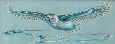 Click for more details of Polar Owl (cross stitch) by Andriana