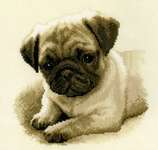 Click for more details of Pug (cross stitch) by Vervaco