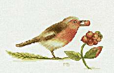 Click for more details of Robin and Berries (cross stitch) by Marjolein Bastin