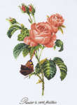 Click for more details of Rosier a Cent Feuilles (cross stitch) by Thea Gouverneur