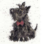 Click for more details of Scottie (cross stitch) by Bothy Threads
