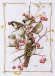 Click for more details of Sparrows with Red Berries (cross stitch) by Marjolein Bastin