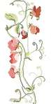 Click for more details of Sweet Peas (cross stitch) by Thea Gouverneur