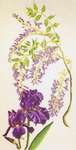 Click for more details of Wisteria and Iris (cross stitch) by Thea Gouverneur