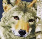 Click for more details of Wolf (cross stitch) by Lanarte