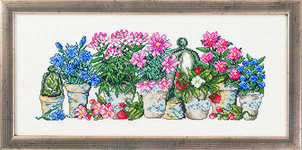 Six pot plants - click for larger image