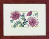 Pink dahlias - click for larger image