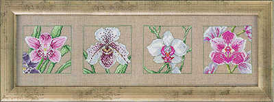 Orchid quartet - click for larger image