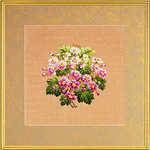 Red primulas - click for larger image