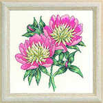 Two peonies - click for larger image