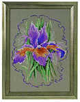 Iris sketch - click for larger image