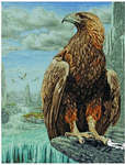 Click/tap for more details of 3D Eagle (cross stitch) by maia