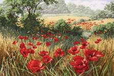 Click for more details of A Host of Poppies (cross stitch) by maia