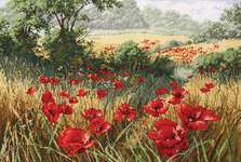 Click/tap for more details of A Host of Poppies (cross stitch) by maia