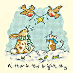 Click for more details of A Star in the Bright Sky (cross stitch) by Bothy Threads