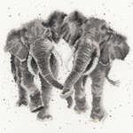 Click for more details of Age is Irrelephant (cross stitch) by Bothy Threads