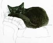 Click for more details of Among Black Cats -  Cat on a Sofa (cross stitch) by RTO