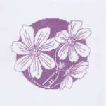 Click/tap for more details of Anemones (cross stitch) by Haandarbejdets Fremme