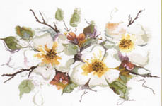 Click for more details of Apple Blossom (cross stitch) by Lanarte