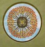 Click/tap for more details of Aspen Mandella (cross stitch) by Ink Circles