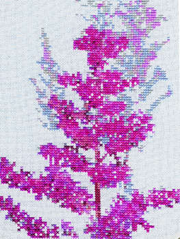 Click/tap for more details of Astilbe (cross stitch) by Anne Peden